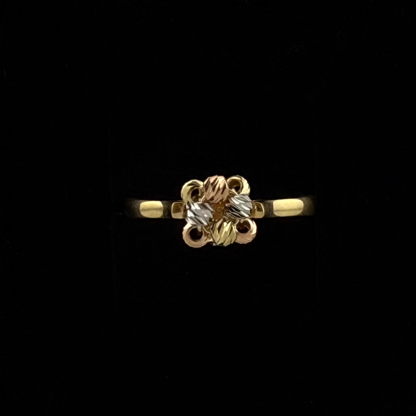 Bague en Or 750 (18 carats)